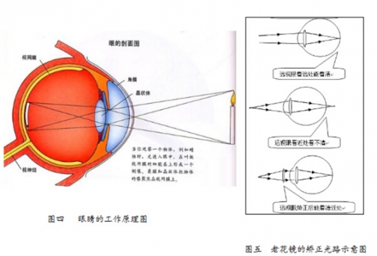 美麗島眼鏡：老花鏡不可隨意亂帶，需要在專(zhuān)業(yè)驗(yàn)光后科學(xué)配制